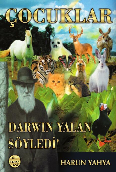 Darwin Yalan Söyledi - Çocuk Kitapları